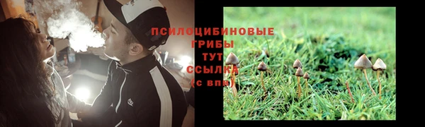 амф Нефтекумск